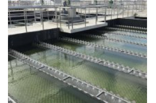 【干貨】有機物導致的氨氮超標?這種情況該如何處理呢？