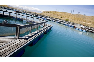 高濃度、高氨氮、難降解廢水生物處理技術(shù)經(jīng)驗(yàn)總結(jié)