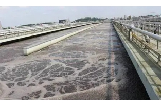 【重要】水中溶解氧越高，處理效果越好么？